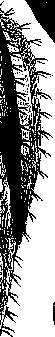 099/099310011001200_0.png