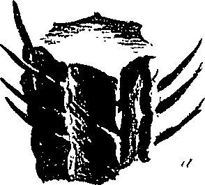 099/099310011001200_1.png