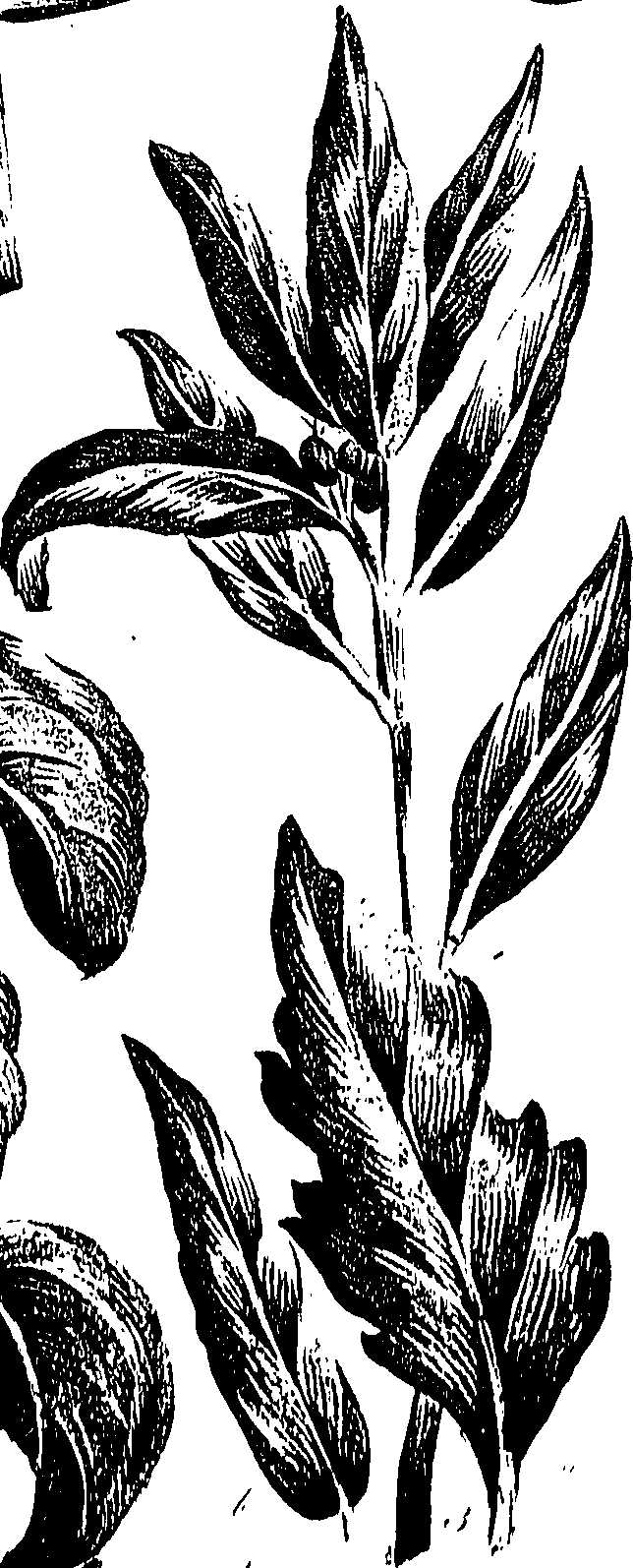 099/099310011001220_0.png