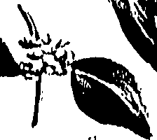 099/099310011001230_0.png