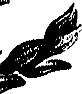 099/099310011001250_0.png