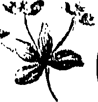 099/099310011100660_0.png