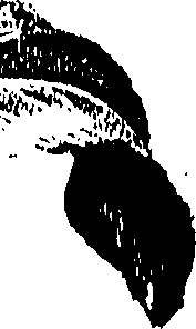 099/099310011100660_1.png