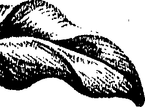 099/099310011100660_2.png