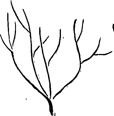 099/099310011100670_0.png