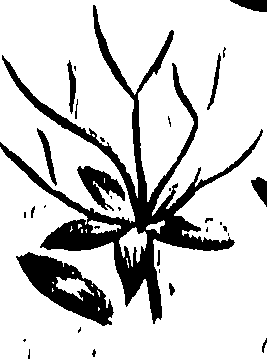 099/099310011100680_1.png