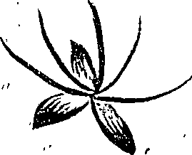 099/099310011100680_2.png