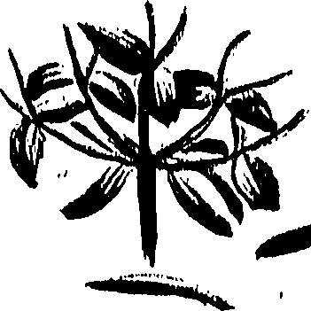 099/099310011100690_0.png