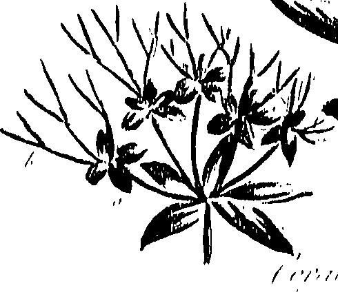 099/099310011100700_0.png