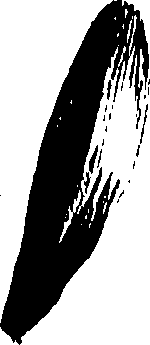 099/099310011100700_1.png