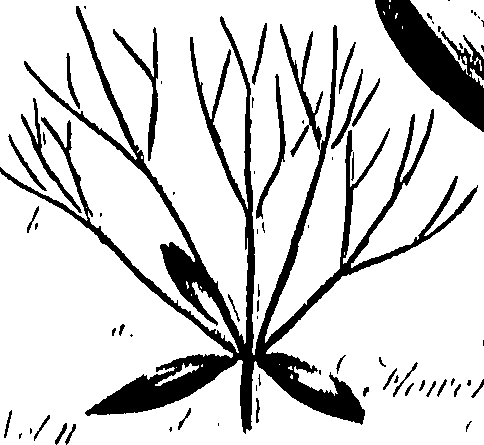 099/099310011100700_2.png