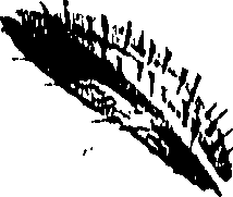 099/099310011100710_0.png