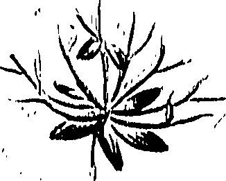 099/099310011100720_0.png