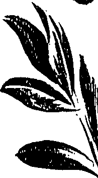 099/099310011100720_1.png