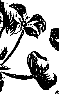 099/099310011100720_2.png