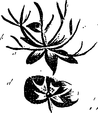 099/099310011100720_3.png