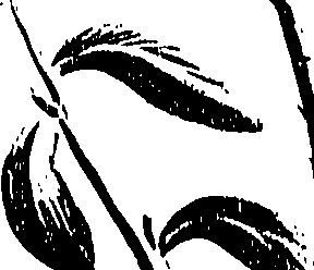 099/099310011100730_1.png