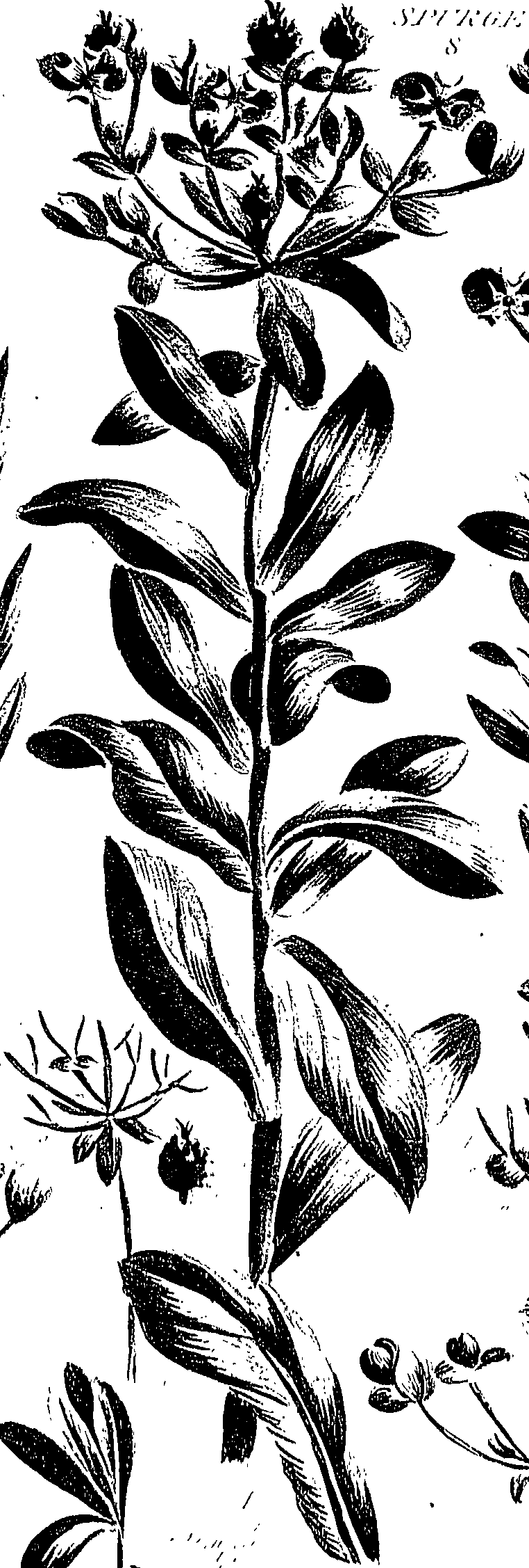 099/099310011100730_2.png