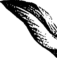 099/099310011100740_1.png
