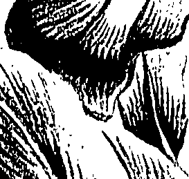 099/099310011100740_2.png