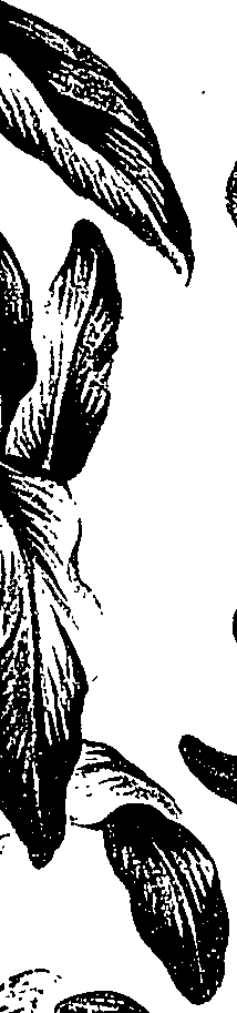 099/099310011100740_3.png