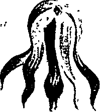 099/099310011100740_4.png