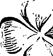 099/099310011100740_5.png