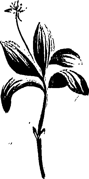 099/099310011100770_0.png