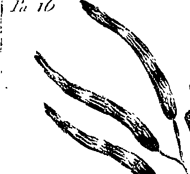 099/099310011100810_2.png