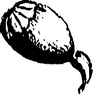 099/099310011100840_0.png