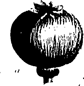 099/099310011100850_0.png