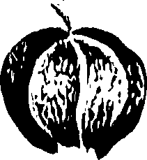 099/099310011100880_0.png