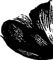 099/099310011100900_1.png