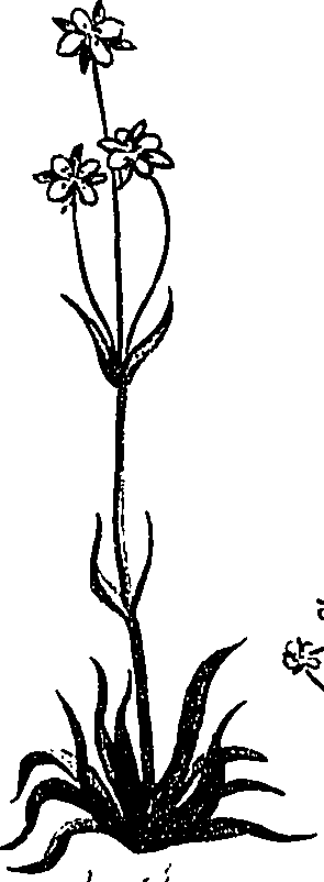 099/099310011100920_0.png