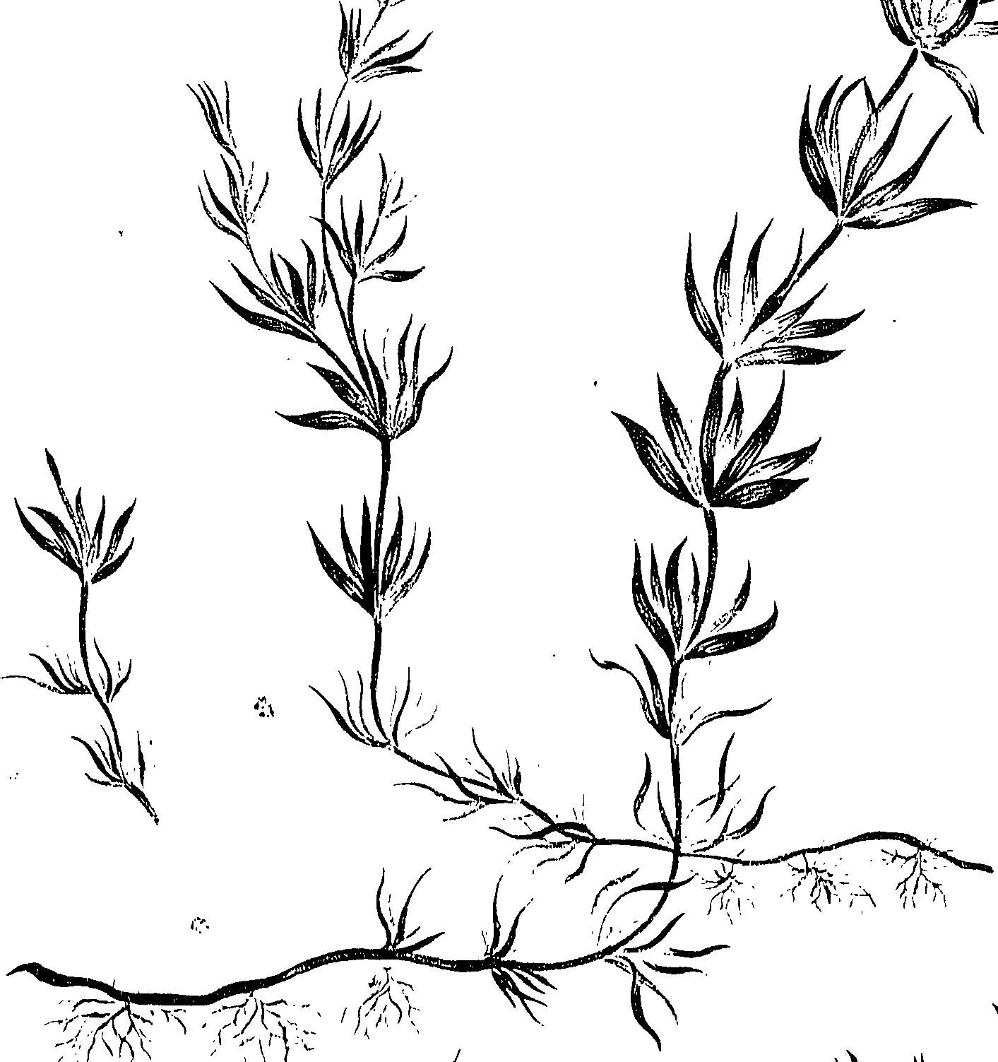 099/099310011100930_0.png