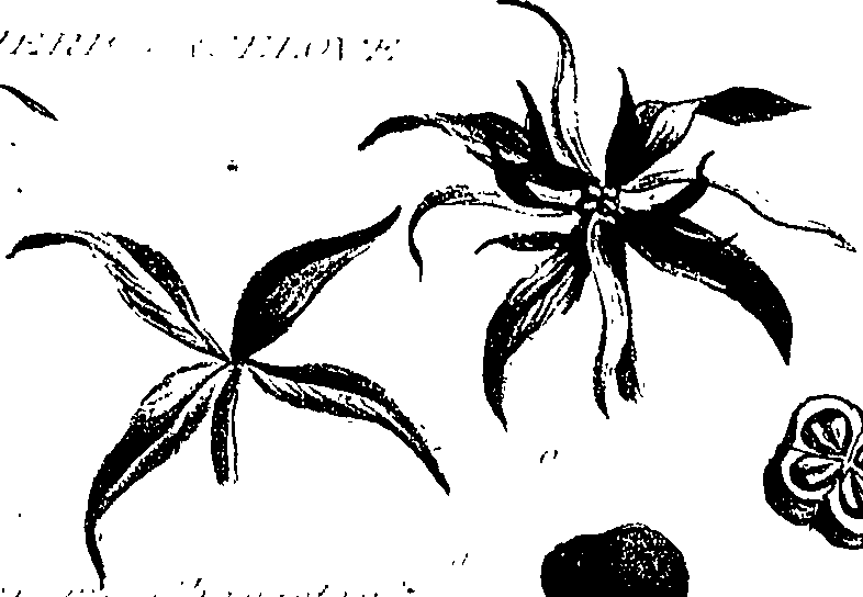 099/099310011100950_0.png