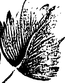 099/099310011100960_2.png