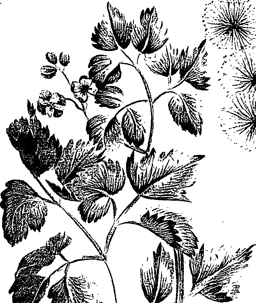 099/099310011100960_5.png