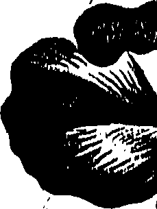 099/099310011100970_0.png