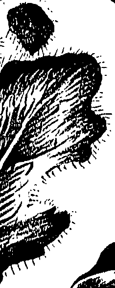 099/099310011100970_1.png