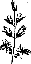 099/099310011100970_2.png