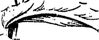 099/099310011100980_0.png
