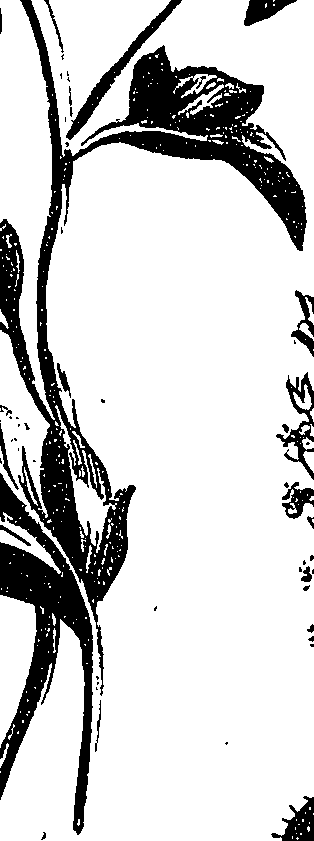 099/099310011100990_0.png