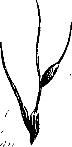 099/099310011101060_0.png
