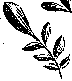 099/099310011101080_0.png