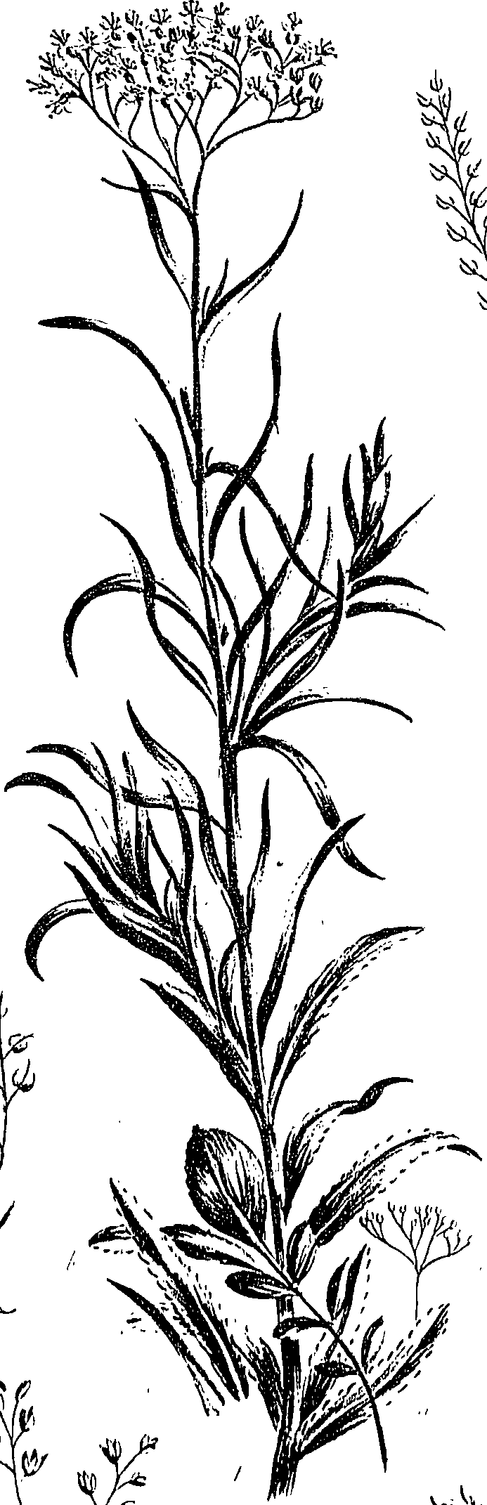 099/099310011101090_0.png