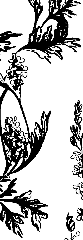 099/099310011101130_0.png
