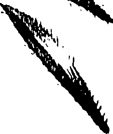 099/099310011101140_0.png