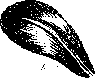 099/099310011101140_1.png