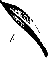 099/099310011101150_0.png